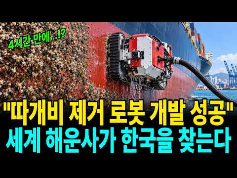  한국이 선박 따개비를 한 방에 해결하자 세계 해운사들이 한국을 찾는 이유