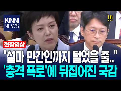  "설마 민간인까지 털었을 줄…" 김은혜 '충격 폭로'에 뒤집어진 국감장 / KNN